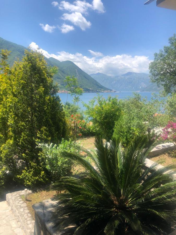 Villa Biskupovic With Stunning Views 코토르 외부 사진