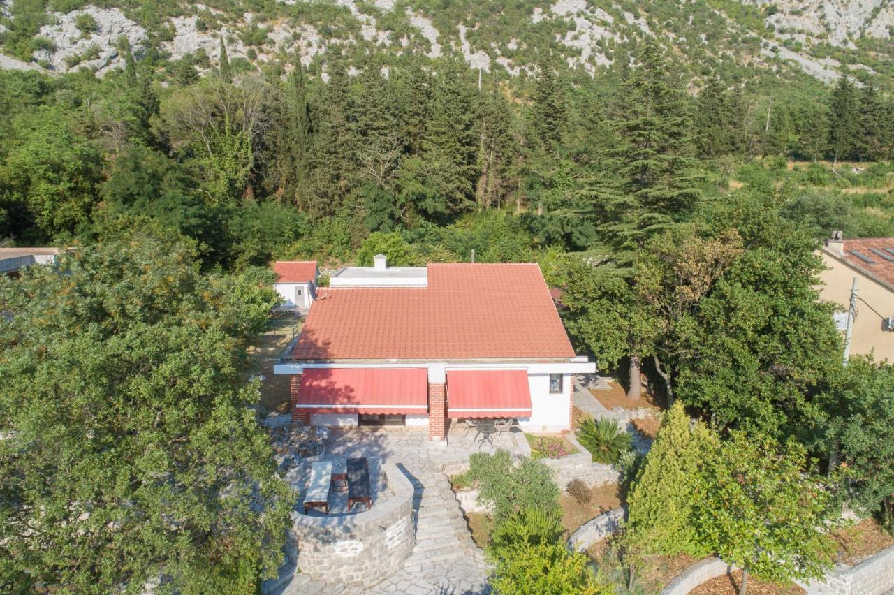 Villa Biskupovic With Stunning Views 코토르 외부 사진